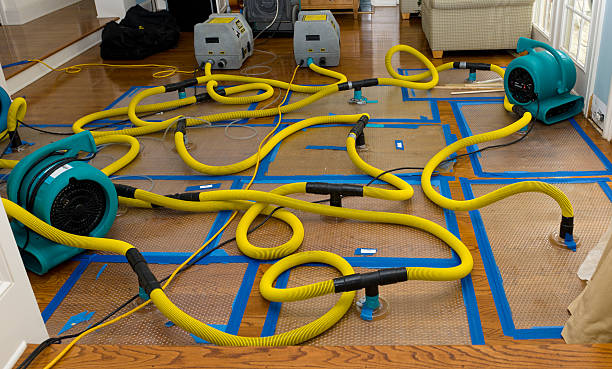 Professional Crawl Space Water Removal technician working in Gresham, WI